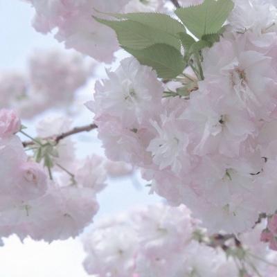 Furry原创作品设计思路FurryQQ群